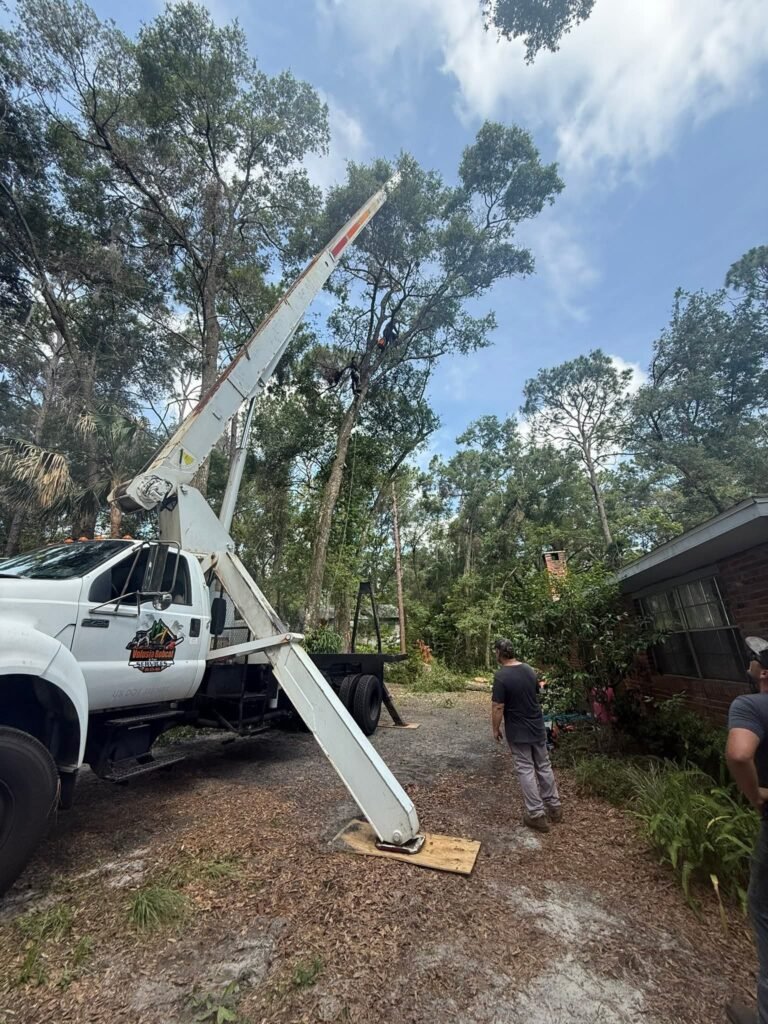 longwood tree service