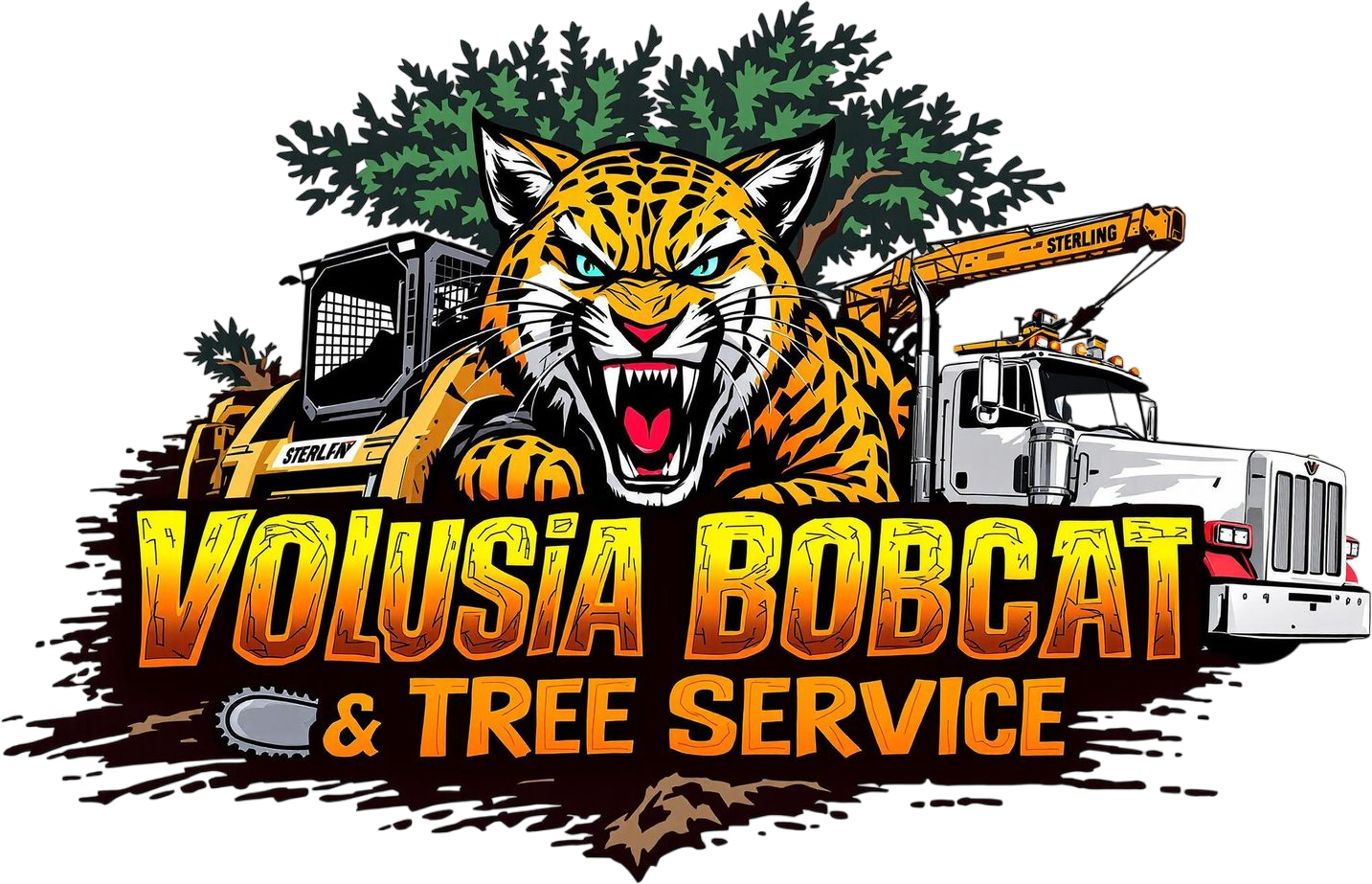 Professional Tree Service Daytona| Tree Service Near Me