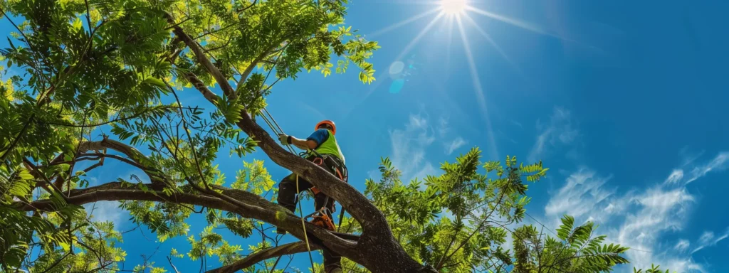 a dynamic scene of a skilled tree service team expertly pruning lush, vibrant trees under the bright florida sun, with rich green foliage contrasting against the clear blue sky.