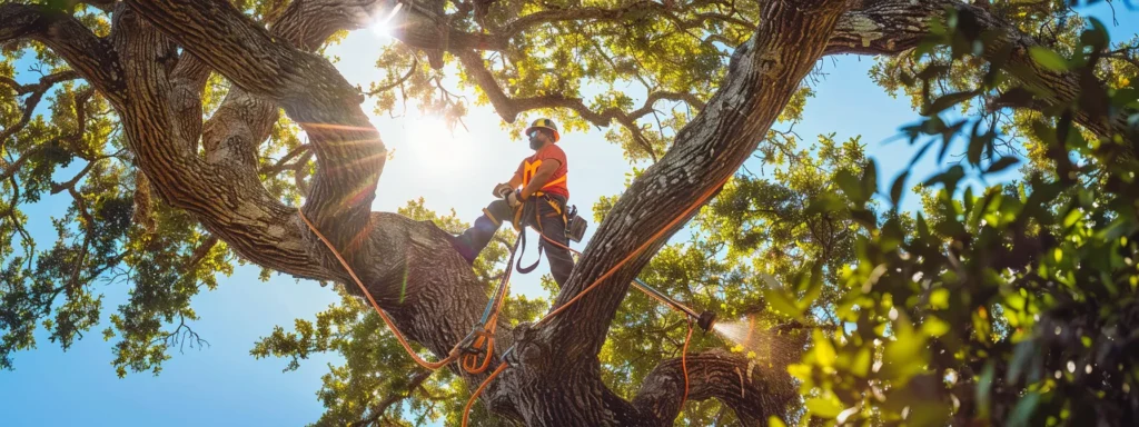 a skilled tree service team triumphantly pruning a towering, vibrant oak tree under the bright florida sun, surrounded by lush greenery and a clear blue sky.
